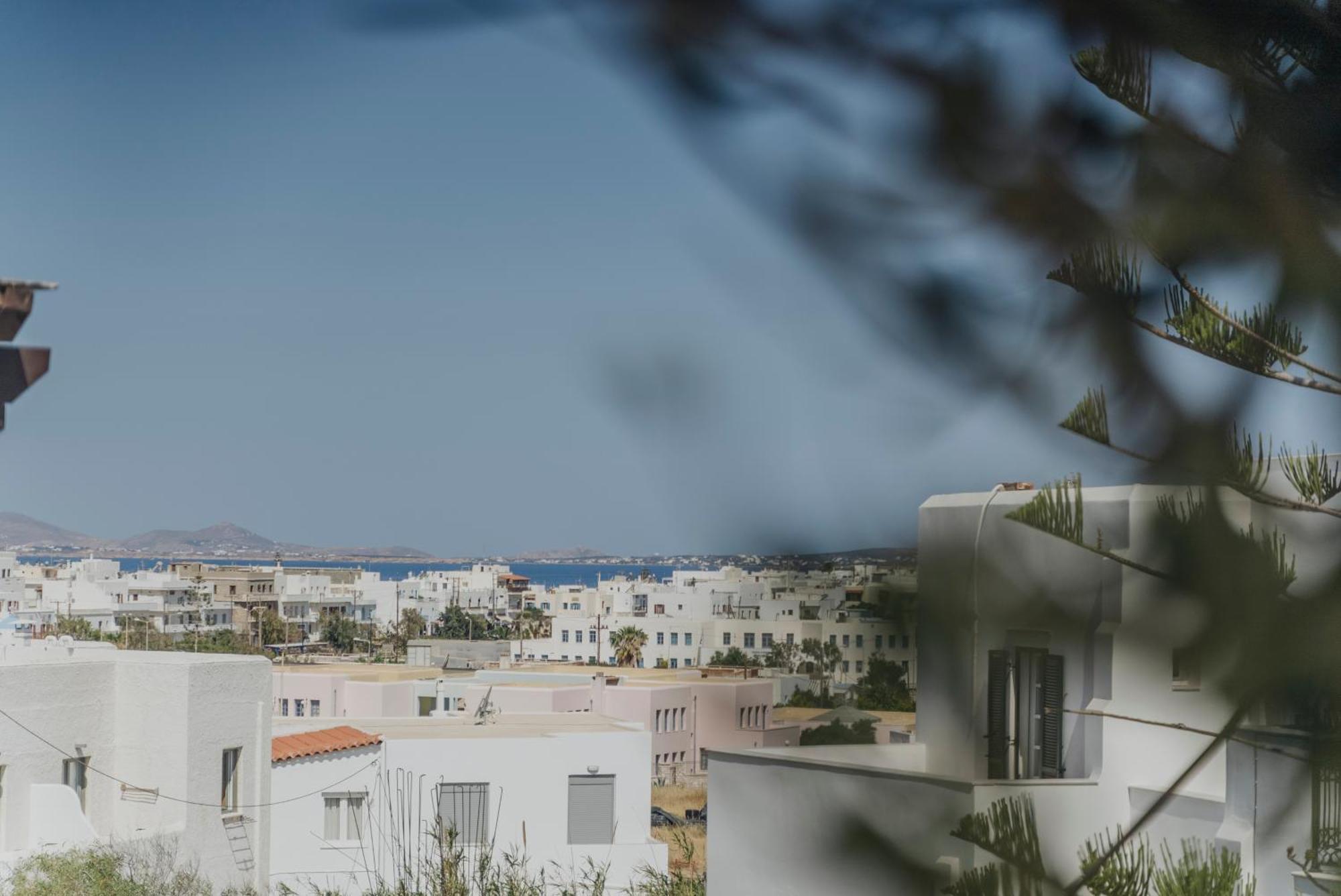Golden Bird'S Apart otel Naxos City Dış mekan fotoğraf
